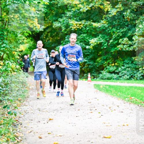 12.10.2025 - Bramfelder Halbmarathon 2025 Dr. Thomas Lammeyer http://msf.ph/oto/9349315 12.10.2025 10:30:25 Laufen 2592, 2398, 2577, 2349 meine-sportfotos.de