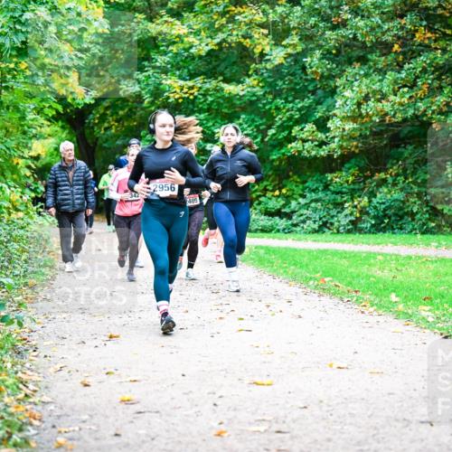 12.10.2025 - Bramfelder Halbmarathon 2025 Dr. Thomas Lammeyer http://msf.ph/oto/9349414 12.10.2025 10:30:43 Laufen 342, 2956, 2405 meine-sportfotos.de