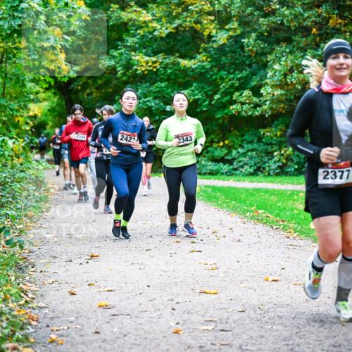 12.10.2025 - Bramfelder Halbmarathon 2025 Dr. Thomas Lammeyer http://msf.ph/oto/9349508 12.10.2025 10:31:03 Laufen 2569, 2421, 2343, 2377 meine-sportfotos.de