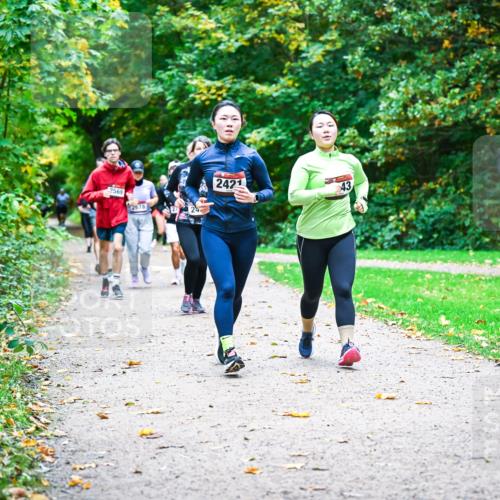 12.10.2025 - Bramfelder Halbmarathon 2025 Dr. Thomas Lammeyer http://msf.ph/oto/9349514 12.10.2025 10:31:04 Laufen 2569, 2678, 2421, 2377 meine-sportfotos.de