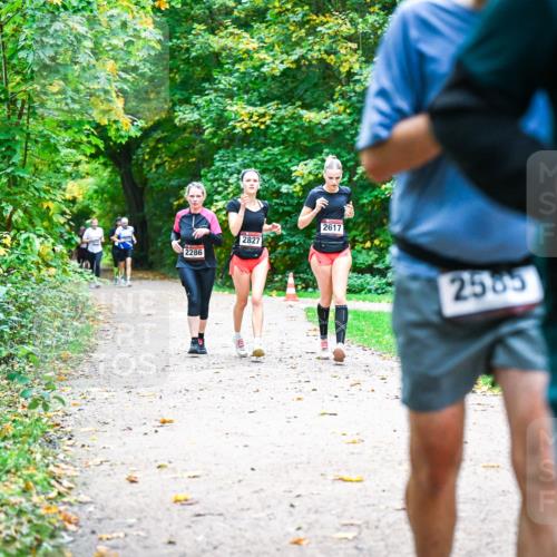 12.10.2025 - Bramfelder Halbmarathon 2025 Dr. Thomas Lammeyer http://msf.ph/oto/9349550 12.10.2025 10:31:12 Laufen 2286, 2827, 2617, 2585 meine-sportfotos.de