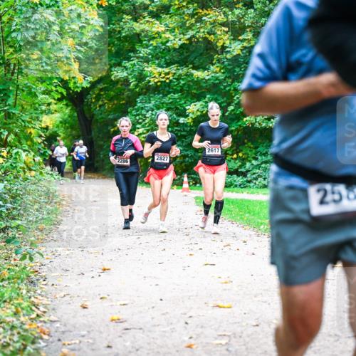 12.10.2025 - Bramfelder Halbmarathon 2025 Dr. Thomas Lammeyer http://msf.ph/oto/9349551 12.10.2025 10:31:12 Laufen 2617, 2827, 2286, 2585 meine-sportfotos.de