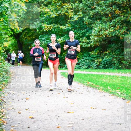 12.10.2025 - Bramfelder Halbmarathon 2025 Dr. Thomas Lammeyer http://msf.ph/oto/9349555 12.10.2025 10:31:13 Laufen 2286, 2827, 2617 meine-sportfotos.de