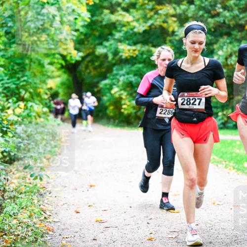 12.10.2025 - Bramfelder Halbmarathon 2025 Dr. Thomas Lammeyer http://msf.ph/oto/9349568 12.10.2025 10:31:15 Laufen 2286, 2827, 2617 meine-sportfotos.de