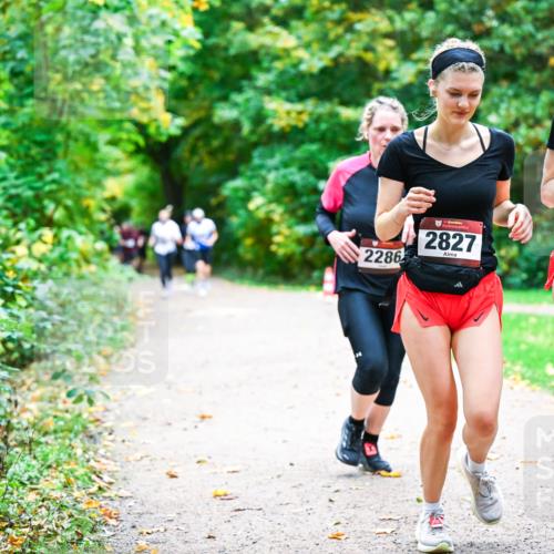 12.10.2025 - Bramfelder Halbmarathon 2025 Dr. Thomas Lammeyer http://msf.ph/oto/9349569 12.10.2025 10:31:15 Laufen 2286, 2617, 34, 2827 meine-sportfotos.de