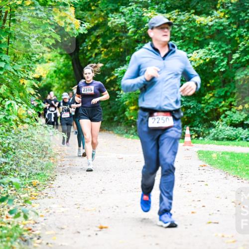 12.10.2025 - Bramfelder Halbmarathon 2025 Dr. Thomas Lammeyer http://msf.ph/oto/9349756 12.10.2025 10:31:54 Laufen 2824, 2315, 2250 meine-sportfotos.de
