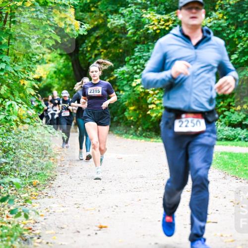 12.10.2025 - Bramfelder Halbmarathon 2025 Dr. Thomas Lammeyer http://msf.ph/oto/9349762 12.10.2025 10:31:55 Laufen 2333, 2315, 2250 meine-sportfotos.de