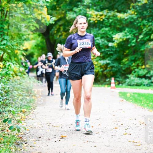 12.10.2025 - Bramfelder Halbmarathon 2025 Dr. Thomas Lammeyer http://msf.ph/oto/9349774 12.10.2025 10:31:57 Laufen 295, 2315 meine-sportfotos.de