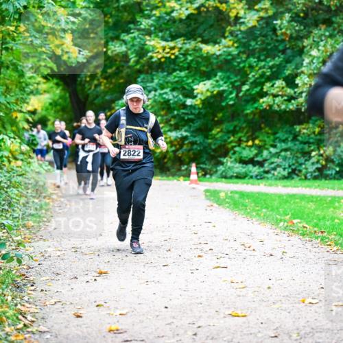 12.10.2025 - Bramfelder Halbmarathon 2025 Dr. Thomas Lammeyer http://msf.ph/oto/9349805 12.10.2025 10:32:03 Laufen 2822 meine-sportfotos.de