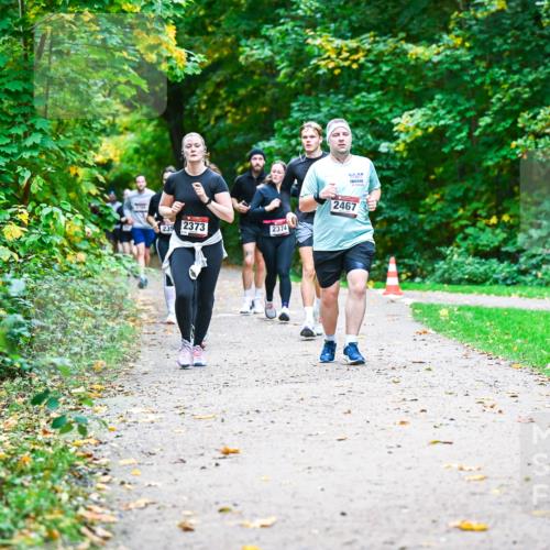 12.10.2025 - Bramfelder Halbmarathon 2025 Dr. Thomas Lammeyer http://msf.ph/oto/9349822 12.10.2025 10:32:06 Laufen 2009, 2467, 239, 2373, 2374 meine-sportfotos.de