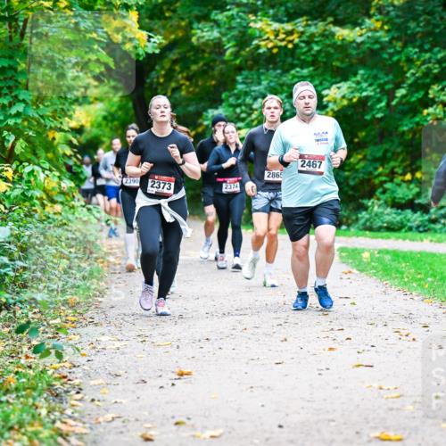 12.10.2025 - Bramfelder Halbmarathon 2025 Dr. Thomas Lammeyer http://msf.ph/oto/9349827 12.10.2025 10:32:06 Laufen 2467, 2865, 2390, 2373, 2374 meine-sportfotos.de