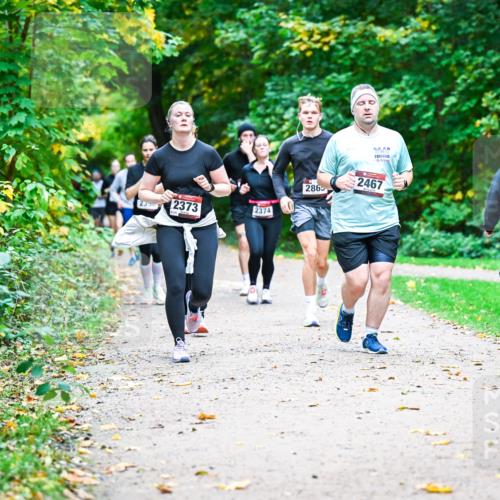 12.10.2025 - Bramfelder Halbmarathon 2025 Dr. Thomas Lammeyer http://msf.ph/oto/9349829 12.10.2025 10:32:06 Laufen 235, 2373, 2374, 2865, 2467 meine-sportfotos.de