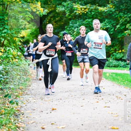 12.10.2025 - Bramfelder Halbmarathon 2025 Dr. Thomas Lammeyer http://msf.ph/oto/9349830 12.10.2025 10:32:07 Laufen 2467, 2865, 2390, 2373, 2374 meine-sportfotos.de