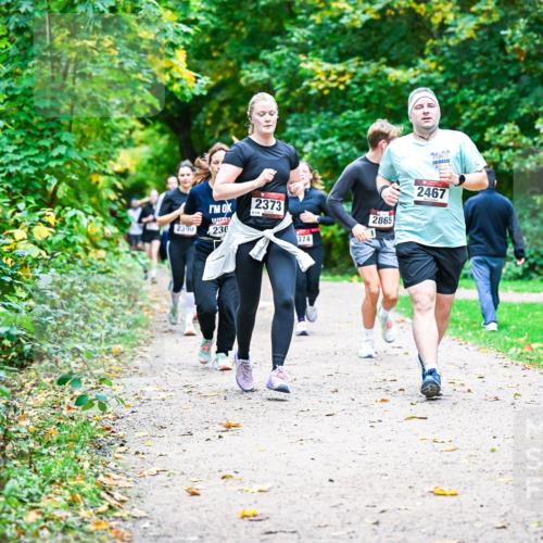12.10.2025 - Bramfelder Halbmarathon 2025 Dr. Thomas Lammeyer http://msf.ph/oto/9349836 12.10.2025 10:32:07 Laufen 2390, 230, 2373, 374, 2865, 2467 meine-sportfotos.de