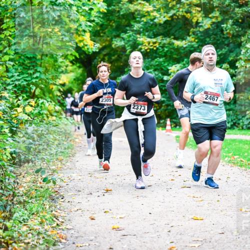 12.10.2025 - Bramfelder Halbmarathon 2025 Dr. Thomas Lammeyer http://msf.ph/oto/9349840 12.10.2025 10:32:08 Laufen 239, 2305, 2373, 2467 meine-sportfotos.de
