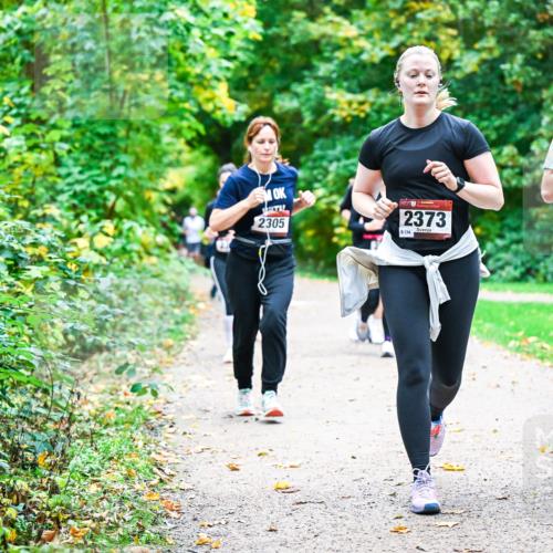 12.10.2025 - Bramfelder Halbmarathon 2025 Dr. Thomas Lammeyer http://msf.ph/oto/9349850 12.10.2025 10:32:09 Laufen 2305, 2373, 8134, 2467 meine-sportfotos.de