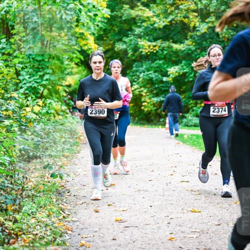 12.10.2025 - Bramfelder Halbmarathon 2025 Dr. Thomas Lammeyer http://msf.ph/oto/9349863 12.10.2025 10:32:11 Laufen 2390, 2374, 2305 meine-sportfotos.de