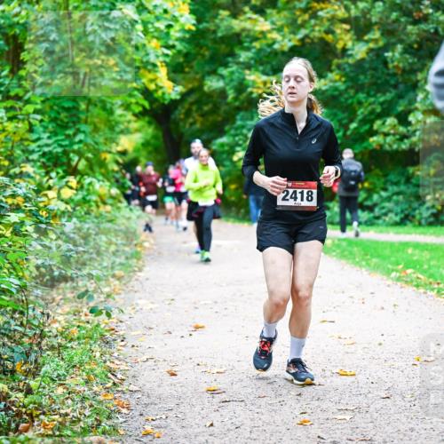 12.10.2025 - Bramfelder Halbmarathon 2025 Dr. Thomas Lammeyer http://msf.ph/oto/9349903 12.10.2025 10:32:19 Laufen 2418 meine-sportfotos.de