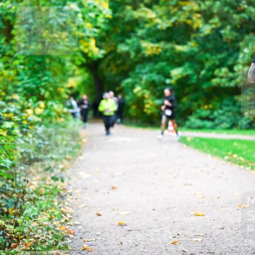 12.10.2025 - Bramfelder Halbmarathon 2025 Dr. Thomas Lammeyer http://msf.ph/oto/9350035 12.10.2025 10:32:40 Laufen 2367 meine-sportfotos.de