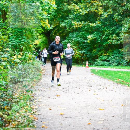 12.10.2025 - Bramfelder Halbmarathon 2025 Dr. Thomas Lammeyer http://msf.ph/oto/9350039 12.10.2025 10:32:44 Laufen 2555 meine-sportfotos.de