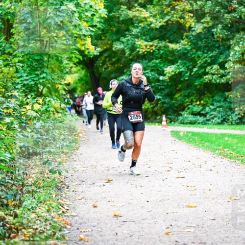 12.10.2025 - Bramfelder Halbmarathon 2025 Dr. Thomas Lammeyer http://msf.ph/oto/9350046 12.10.2025 10:32:45 Laufen 2555 meine-sportfotos.de