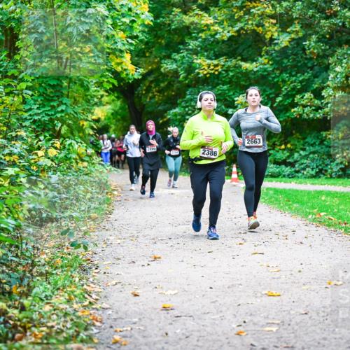 12.10.2025 - Bramfelder Halbmarathon 2025 Dr. Thomas Lammeyer http://msf.ph/oto/9350061 12.10.2025 10:32:47 Laufen 2899, 2386, 2663 meine-sportfotos.de