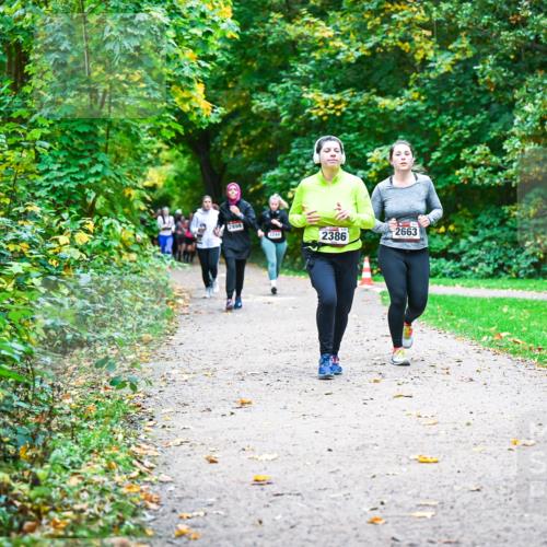 12.10.2025 - Bramfelder Halbmarathon 2025 Dr. Thomas Lammeyer http://msf.ph/oto/9350062 12.10.2025 10:32:47 Laufen 2899, 244, 2386, 2663 meine-sportfotos.de