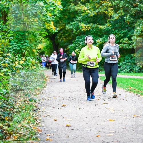 12.10.2025 - Bramfelder Halbmarathon 2025 Dr. Thomas Lammeyer http://msf.ph/oto/9350064 12.10.2025 10:32:48 Laufen 2899, 2386, 2663 meine-sportfotos.de