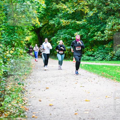 12.10.2025 - Bramfelder Halbmarathon 2025 Dr. Thomas Lammeyer http://msf.ph/oto/9350076 12.10.2025 10:32:50 Laufen 2244, 2899 meine-sportfotos.de