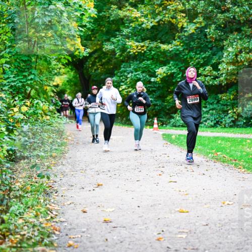 12.10.2025 - Bramfelder Halbmarathon 2025 Dr. Thomas Lammeyer http://msf.ph/oto/9350081 12.10.2025 10:32:51 Laufen 2899, 220032, 2244 meine-sportfotos.de