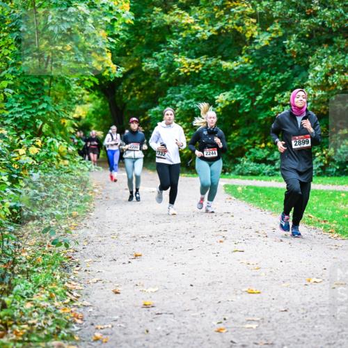 12.10.2025 - Bramfelder Halbmarathon 2025 Dr. Thomas Lammeyer http://msf.ph/oto/9350086 12.10.2025 10:32:52 Laufen 2200, 2332, 2899, 2244 meine-sportfotos.de