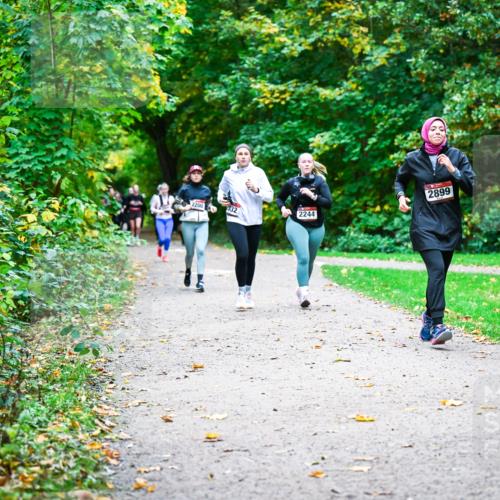 12.10.2025 - Bramfelder Halbmarathon 2025 Dr. Thomas Lammeyer http://msf.ph/oto/9350087 12.10.2025 10:32:52 Laufen 2899, 2200, 332, 2244 meine-sportfotos.de