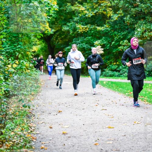 12.10.2025 - Bramfelder Halbmarathon 2025 Dr. Thomas Lammeyer http://msf.ph/oto/9350088 12.10.2025 10:32:52 Laufen 2200, 332, 2899, 2244 meine-sportfotos.de