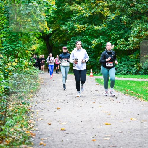 12.10.2025 - Bramfelder Halbmarathon 2025 Dr. Thomas Lammeyer http://msf.ph/oto/9350094 12.10.2025 10:32:53 Laufen 2899, 2200, 332, 2244 meine-sportfotos.de