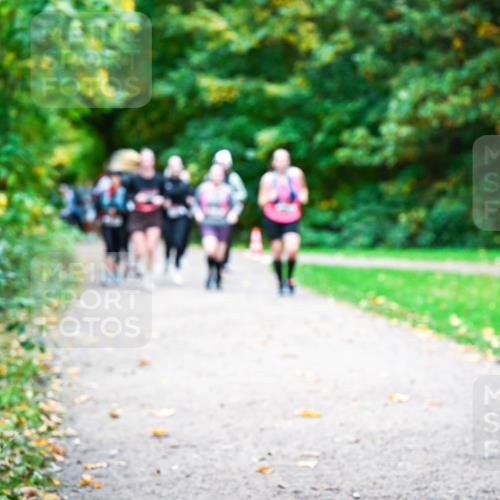 12.10.2025 - Bramfelder Halbmarathon 2025 Dr. Thomas Lammeyer http://msf.ph/oto/9350142 12.10.2025 10:33:02 Laufen  meine-sportfotos.de