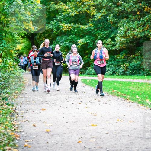 12.10.2025 - Bramfelder Halbmarathon 2025 Dr. Thomas Lammeyer http://msf.ph/oto/9350144 12.10.2025 10:33:03 Laufen 694, 2804, 2204, 2440, 2855 meine-sportfotos.de