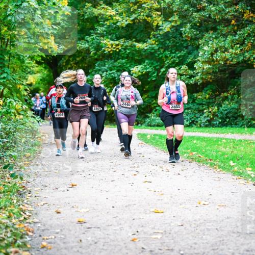 12.10.2025 - Bramfelder Halbmarathon 2025 Dr. Thomas Lammeyer http://msf.ph/oto/9350145 12.10.2025 10:33:03 Laufen 2204, 2694, 280, 2440, 2855 meine-sportfotos.de