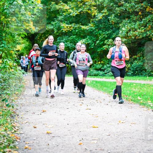 12.10.2025 - Bramfelder Halbmarathon 2025 Dr. Thomas Lammeyer http://msf.ph/oto/9350149 12.10.2025 10:33:04 Laufen 94, 280, 2440, 2855, 2204 meine-sportfotos.de