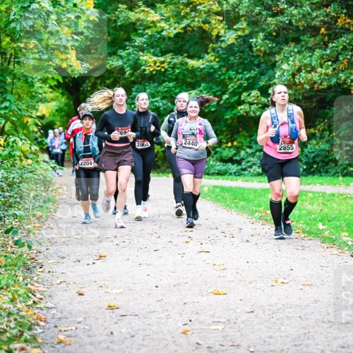 12.10.2025 - Bramfelder Halbmarathon 2025 Dr. Thomas Lammeyer http://msf.ph/oto/9350150 12.10.2025 10:33:04 Laufen 2204, 694, 2804, 2440, 2855 meine-sportfotos.de