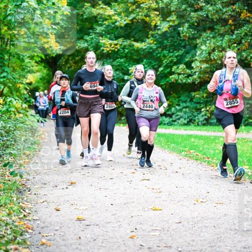 12.10.2025 - Bramfelder Halbmarathon 2025 Dr. Thomas Lammeyer http://msf.ph/oto/9350154 12.10.2025 10:33:05 Laufen 694, 2804, 2204, 2440, 2855 meine-sportfotos.de