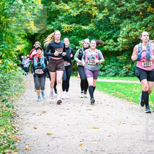 12.10.2025 - Bramfelder Halbmarathon 2025 Dr. Thomas Lammeyer http://msf.ph/oto/9350155 12.10.2025 10:33:05 Laufen 2204, 2594, 280, 2440, 2855 meine-sportfotos.de