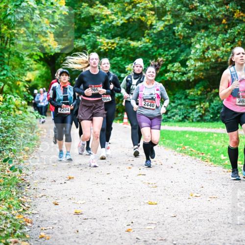 12.10.2025 - Bramfelder Halbmarathon 2025 Dr. Thomas Lammeyer http://msf.ph/oto/9350156 12.10.2025 10:33:05 Laufen 2204, 269, 804, 2855, 2440 meine-sportfotos.de