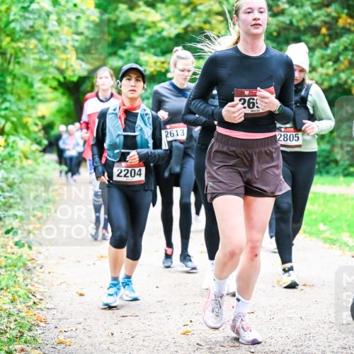 12.10.2025 - Bramfelder Halbmarathon 2025 Dr. Thomas Lammeyer http://msf.ph/oto/9350173 12.10.2025 10:33:07 Laufen 2204, 2613, 26, 2805, 0 meine-sportfotos.de