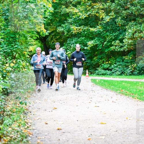 12.10.2025 - Bramfelder Halbmarathon 2025 Dr. Thomas Lammeyer http://msf.ph/oto/9350187 12.10.2025 10:33:13 Laufen 2346, 2475, 2345, 2273 meine-sportfotos.de