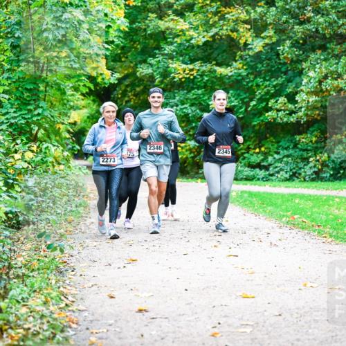 12.10.2025 - Bramfelder Halbmarathon 2025 Dr. Thomas Lammeyer http://msf.ph/oto/9350197 12.10.2025 10:33:15 Laufen 2273, 2346, 2345 meine-sportfotos.de