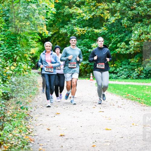 12.10.2025 - Bramfelder Halbmarathon 2025 Dr. Thomas Lammeyer http://msf.ph/oto/9350200 12.10.2025 10:33:15 Laufen 2346, 2345, 475, 2273 meine-sportfotos.de