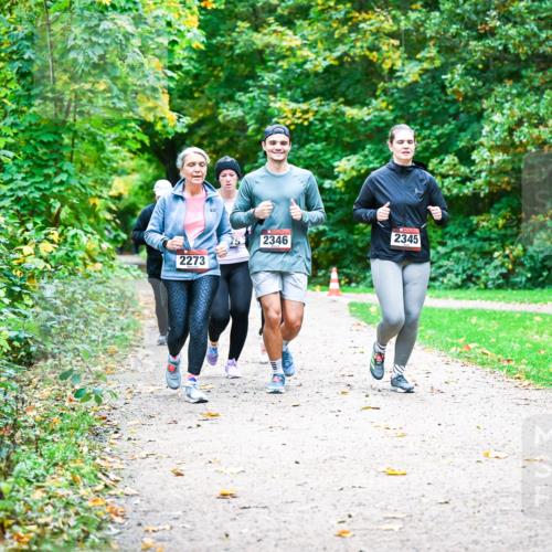 12.10.2025 - Bramfelder Halbmarathon 2025 Dr. Thomas Lammeyer http://msf.ph/oto/9350203 12.10.2025 10:33:15 Laufen 2273, 2346, 2345 meine-sportfotos.de