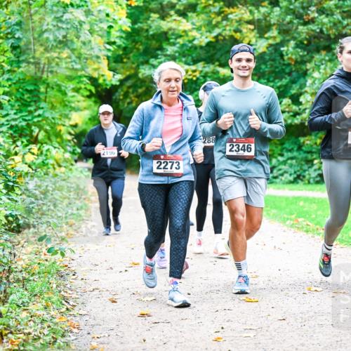 12.10.2025 - Bramfelder Halbmarathon 2025 Dr. Thomas Lammeyer http://msf.ph/oto/9350212 12.10.2025 10:33:17 Laufen 2196, 2273, 288, 2346, 2345 meine-sportfotos.de