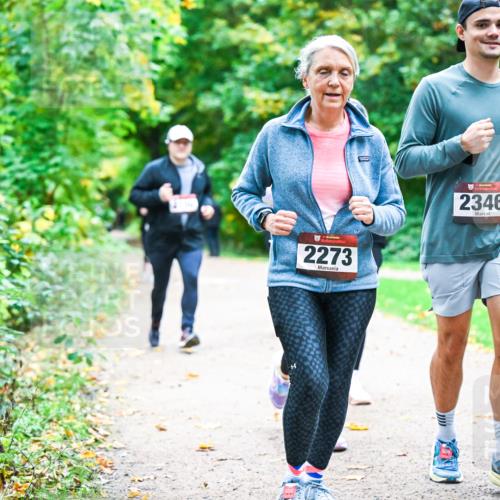 12.10.2025 - Bramfelder Halbmarathon 2025 Dr. Thomas Lammeyer http://msf.ph/oto/9350218 12.10.2025 10:33:18 Laufen 2273, 2346 meine-sportfotos.de