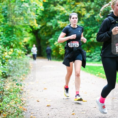 12.10.2025 - Bramfelder Halbmarathon 2025 Dr. Thomas Lammeyer http://msf.ph/oto/9350265 12.10.2025 10:33:26 Laufen 2825, 2702 meine-sportfotos.de